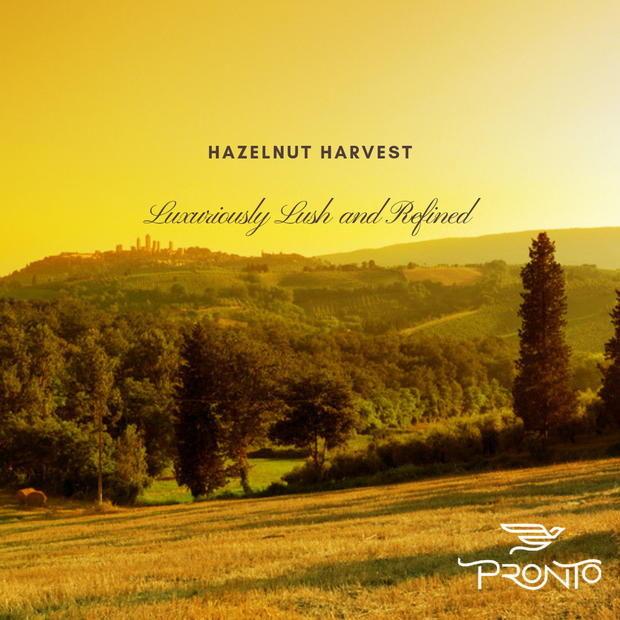 Hazelnut Harvest - Pronto Coffee